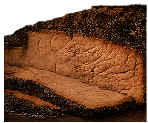 Texas Brisket